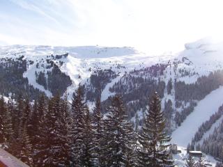 Appartement lumineux avec balcon sud, centre station, parking couvert - Flaine Forêt - FR-1-425-141 - Flaine - 3
