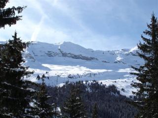 Appartement Confortable · Proche Pistes · Balcon Sud · 4-5 Pers · Flaine Forêt - FR-1-425-173 - Flaine - 9