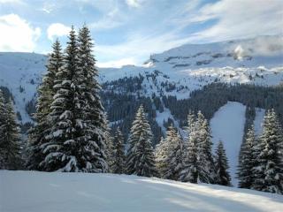 Studio Rénové avec Cabine, Balcon et Casier à Ski, au Centre de Flaine Forêt - FR-1-425-154 - Flaine - 8