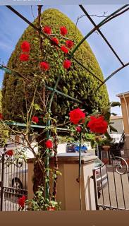 Casa vacanza - Cecina - 9