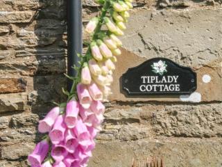 Tiplady Cottage - Leyburn - 6
