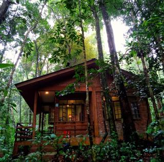 Permai Rainforest Resort - Santubong - 6
