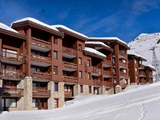 Charmant studio divisible ski-in/ski-out avec balcon et animaux admis - FR-1-181-2129 - La Plagne Tarentaise - 1