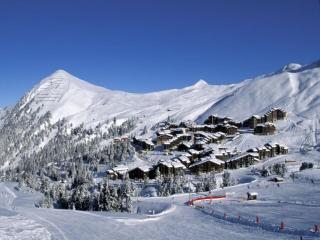 Appartement tout confort, accès direct aux pistes, balcon, casier à ski - FR-1-181-2152 - La Plagne Tarentaise - 4
