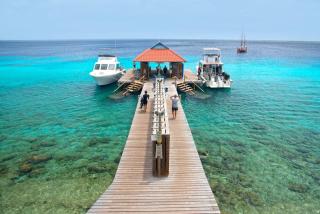 Divi Flamingo Beach Resort - 0