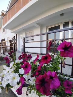 Loznica, Venera - Ploča - 7