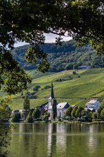 Kettern Urlaub - Piesport - 2
