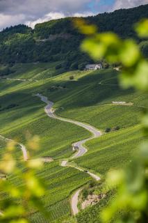 Kettern Urlaub - Piesport - 1
