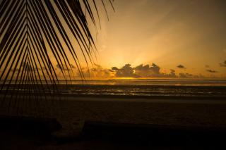 Antonio Beach Tree House Hotel & Spa - Uroa - 9