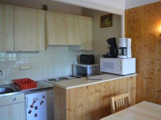 Studio 4 pers, Le Grand-Bornand, proche centre et pistes - FR-1-241-24 - Le Grand-Bornand - 1