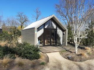 EuroParcs Bad Hoophuizen - 4