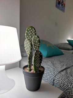 Playa Bonita Relax House - 1