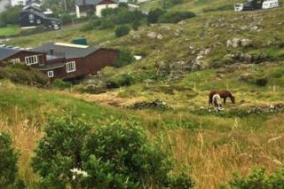 Hyggelig lejlighed ved åen - flot udsigt - 5