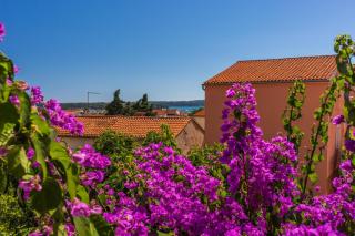 House Nevenka - 3