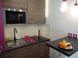 Superbe Studio in Cannes 450m sea & parking - Cannes - 3