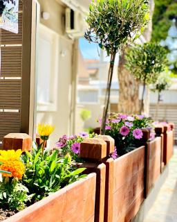 Phoenix Garden Apartments II - Atene - 4