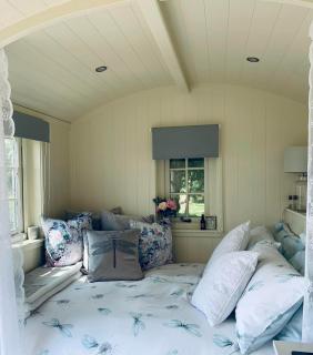 The Dragonfly Shepherds Hut - Colchester - 5