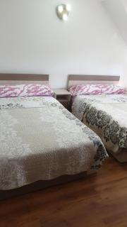 Pensiunea Patricia - Oeşti-Pămînteni - 8