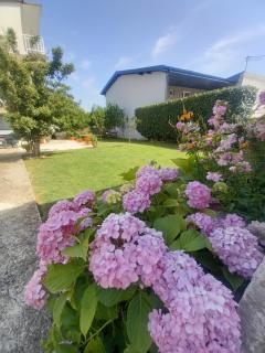 Janja Medjugorje - Međugorje - 0