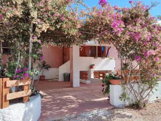 Alghero Guest House - Appartamenti in Villetta di Campagna, Piscina fuori terra a 4 minuti di auto dalla città - Alghero - 0