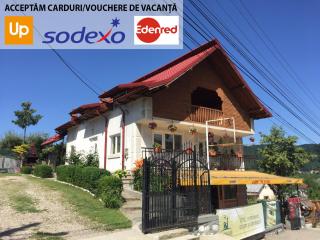 Vila Nadia - Oeşti-Pămînteni - 0