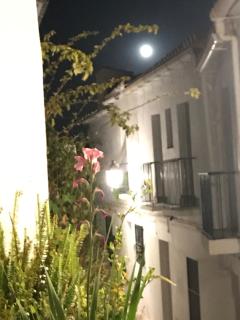 El corralón - Frigiliana - 8