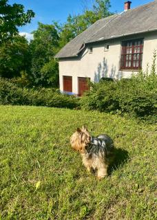 Töreki 34 Vendégház - 1