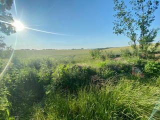 Töreki 34 Vendégház - 6