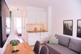 Apartamenty Turystyczna 25 - Kudowa-Zdrój - 9