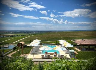 Casa Timiș - Wellness & Spa Resort - Chiţorani - 1