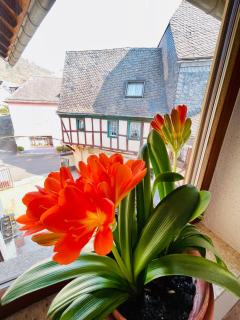 Hotel Pension Balthasar - Müden - 6
