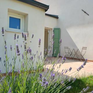 La Casa Vecchia Bed&Breakfast - 5