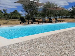 Casa das Indrineiras - Mogadouro - 9