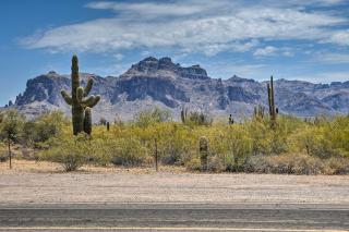 Peaceful Apache Junction Condo about 1 Mi to Downtown! - Apache Junction - 7