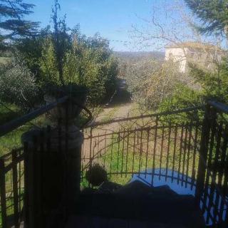 Podere Santa Lucia - Ribolla - 2