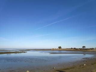 Confort et charme à 4km d'Arcachon centre - La Teste-de-Buch - 9