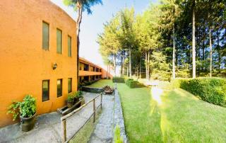 Rancho Cumbre Monarca - La Ciénega - 7