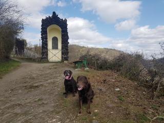 Ferienhaus Leopold mit Burgblick an der Mosel - 3