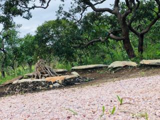 Jardim Raizama Chalés - Chapada dos Veadeiros - 3