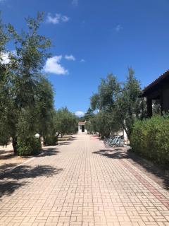 Tenuta Montincello - Vieste - 0