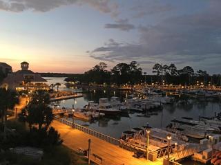 226 Captain's Quarters - Hilton Head Island - 8
