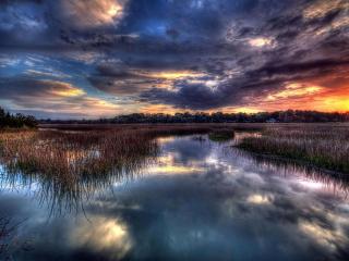 7825 Centrecourt - Hilton Head Island - 2