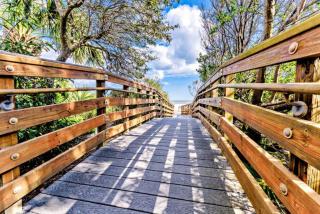 34 Hickory Cove - Hilton Head Island - 4