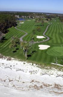 34 Hickory Cove - Hilton Head Island - 3