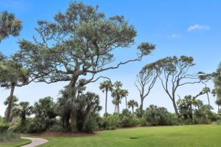 4309 Windsor Court - Hilton Head Island - 7