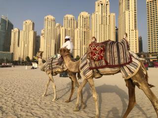Ultimate Stay / 3 Beds / Full Sea & JBR Beach View / Zen & Yoga Soul - Dubai - 6