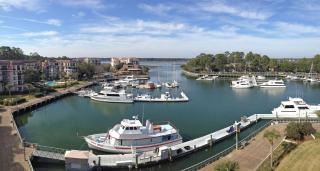 716 Queens Grant - Hilton Head Island - 3