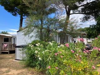 Mobil Home - Camping La Falaise - 5