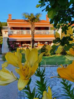 Casa Croatia - Punat - 9