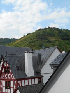 Wohnung Feuerberg mit Südbalkon - Ediger-Eller - 9